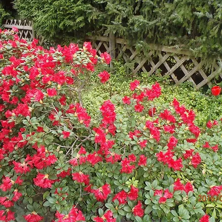 Carpe Diem 켈베르크