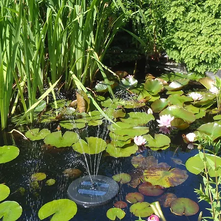 아파트 Carpe Diem 켈베르크