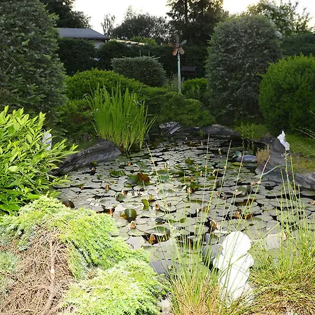 Carpe Diem קלברג