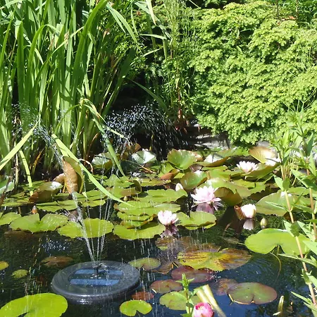 아파트 Carpe Diem *