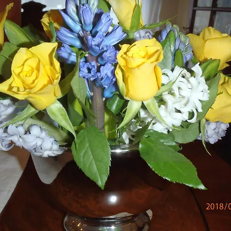 Carpe Diem דירה *