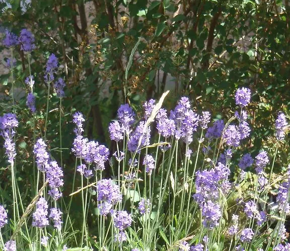 Apartamento Carpe Diem