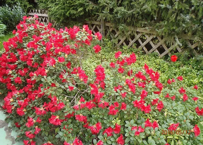 及时行乐公寓 克尔贝格