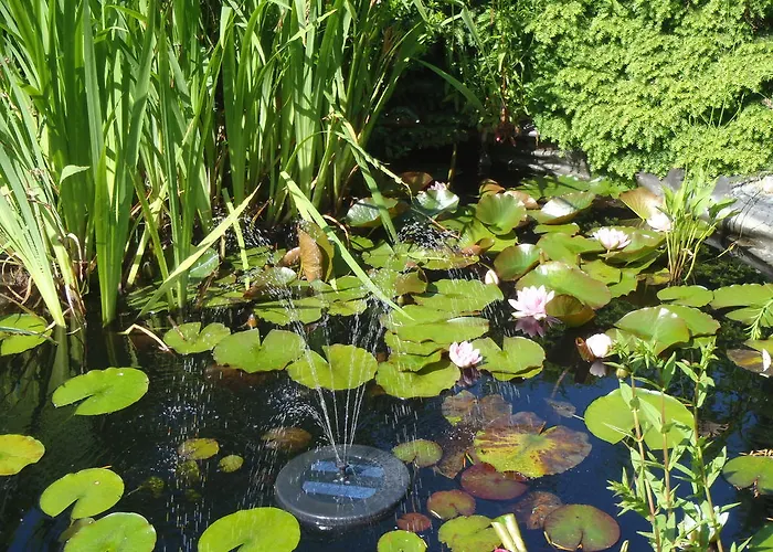 Apartman Carpe Diem Kelberg