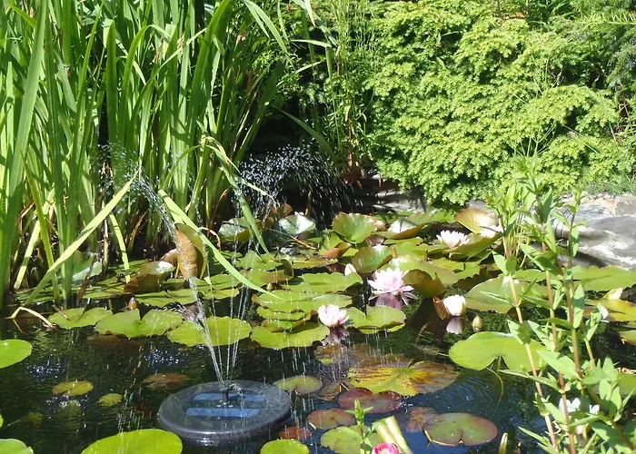 Apartamento Carpe Diem *